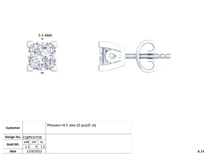 Ordinaire stud Earrings